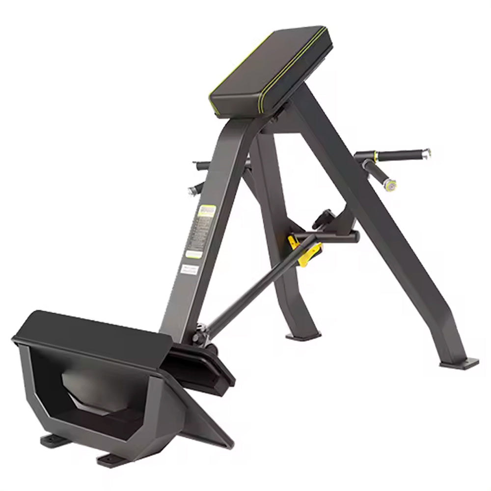 Incline Level Row